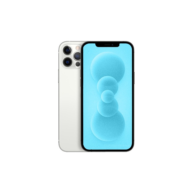 iPhone 12 Pro 256 Go Argent reconditionné en France - Recycletek