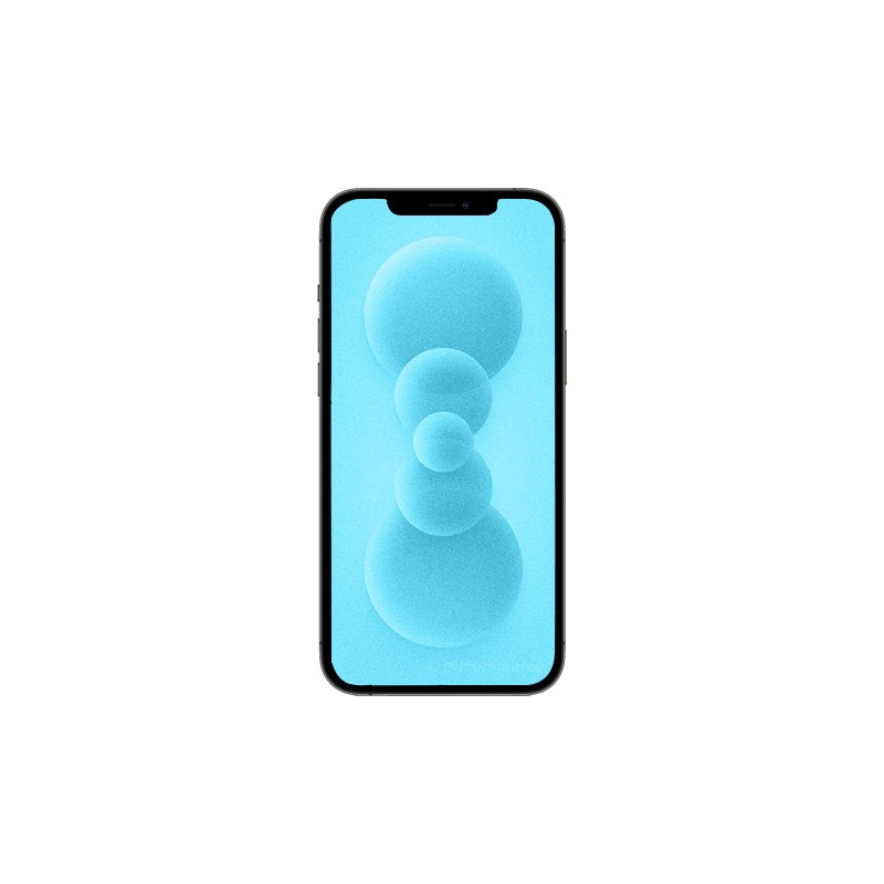 iPhone 12 Pro 256 Go Argent reconditionné en France - Recycletek